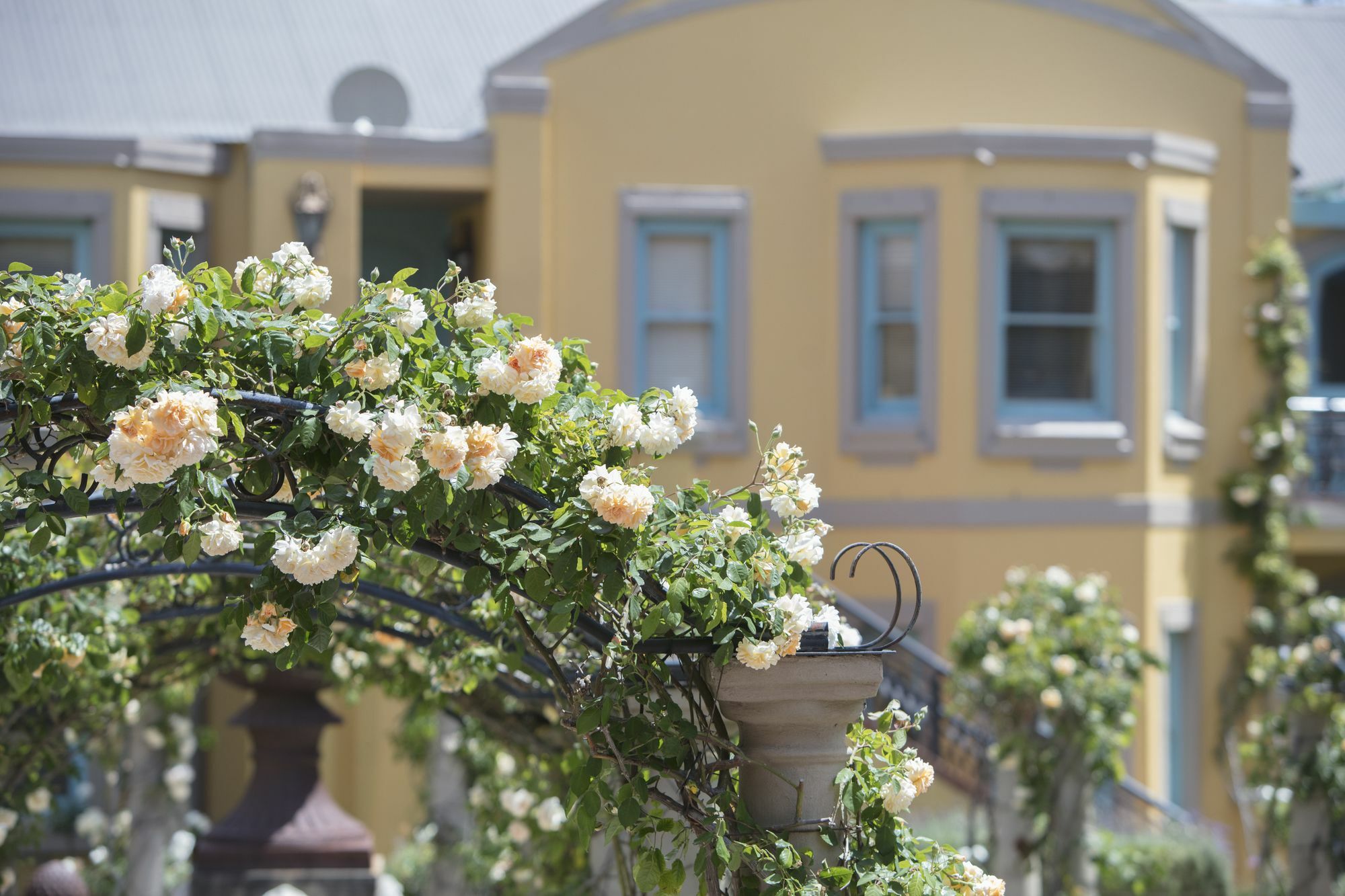 Franschhoek Country House & Villas Exterior photo